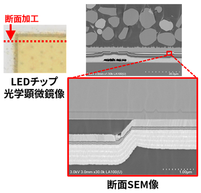LEDの断面構造解析