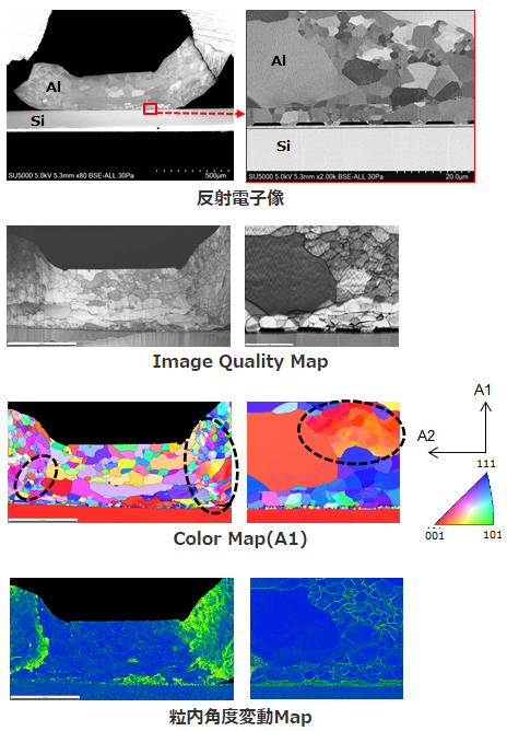 低真空SEMでの観察およびEBSD測定