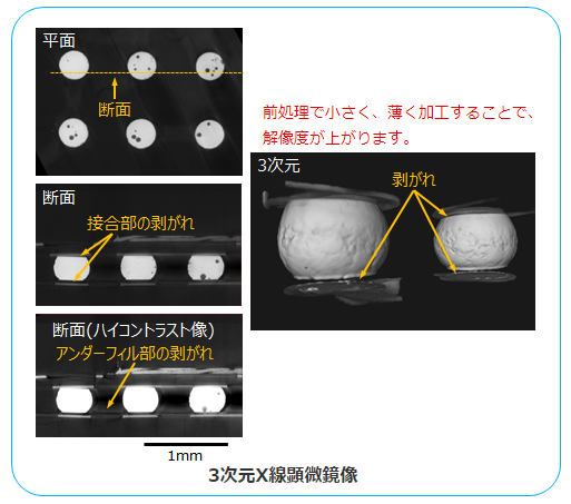 3次元X線顕微鏡像