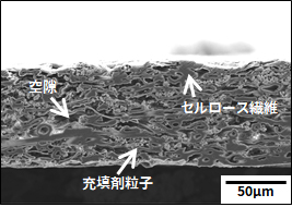 断面イオンミリング