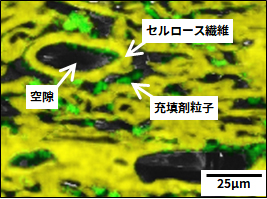 断面イオンミリング