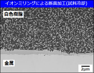 イオンリング断面加工品の断面SEM像