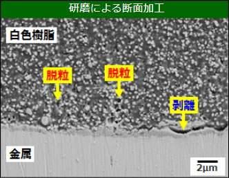 研磨断面加工品の断面SEM像