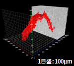 X線CT 3次元像