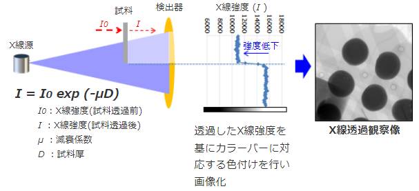 X線透過観察