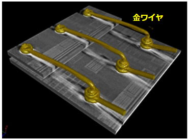 X線CT像 (3D像)