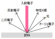 電子線と物質との相互作用