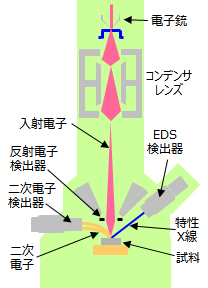 極低エネルギーSEM