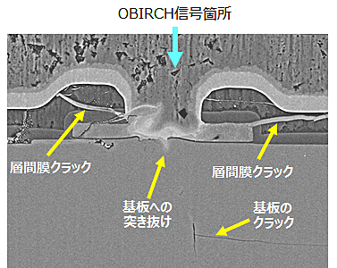 断面からSEMで形状を観察