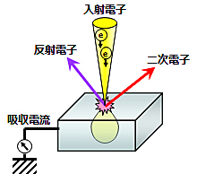 電子線と物質との相互作用の模式図