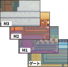 各レイヤーの観察例