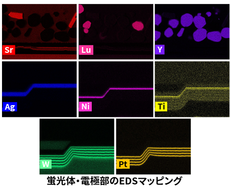 蛍光体・電極部のEDSマッピング