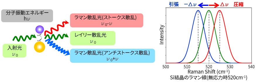 ラマン散乱分光イメージ