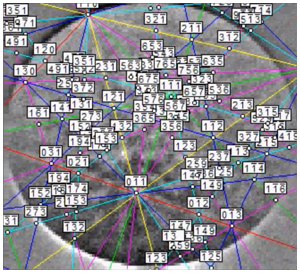 EBSD Pattern