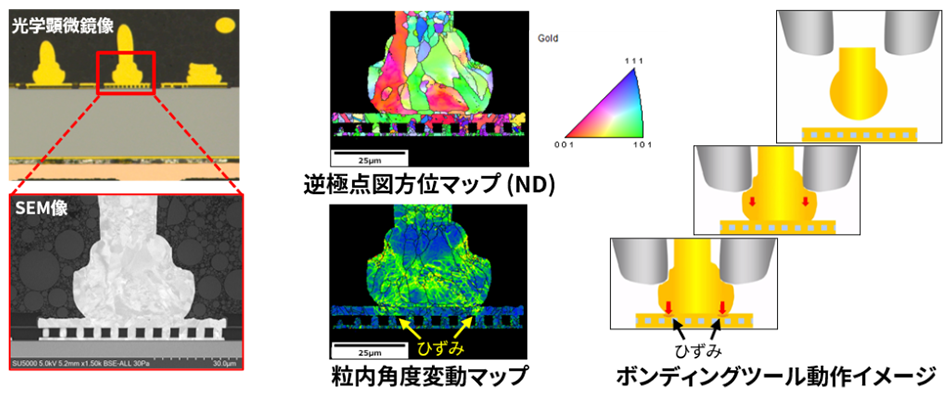 イヤボンディングのEBSD測定