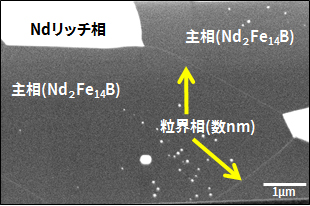 ネオジム焼結磁石の断面SEM像