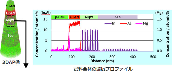 3DAPによるIn濃度の算出