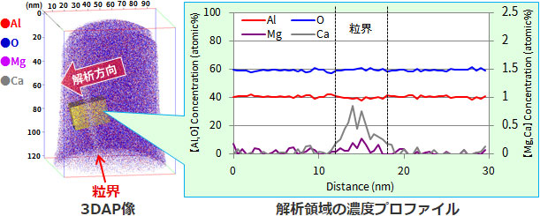 3DAP像と解析領域の濃度プロファイル