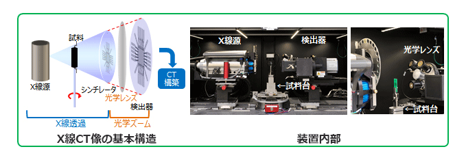 3次元X線顕微鏡像の基本構造