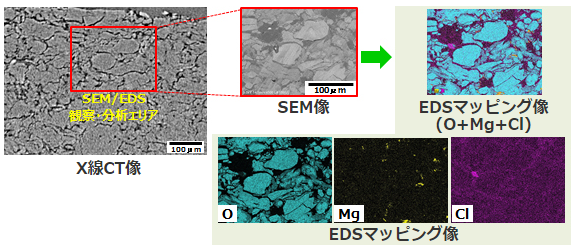 X線CTで観察した箇所のSEM/EDS観察