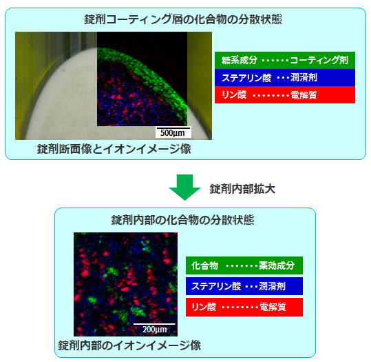 錠剤コーティング層の化合物の分散状態、錠剤内部の化合物の分散状態