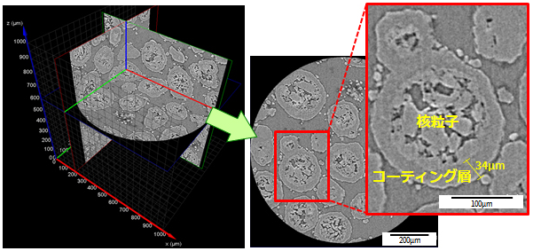 顆粒剤の3次元X線顕微鏡像