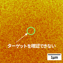 従来の分析(定性モード)による二次イオン像