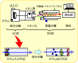 ガスクロマトグラフィー質量分析(GC/MS) | 受託分析サービス | 東芝ナノアナリシス株式会社