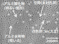 SEMによる断面観察(任意箇所の平面部拡大SEM像)
