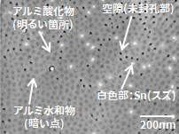 SEMによる断面観察(任意箇所の平面部拡大SEM像)