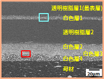 SEMによる断面観察(イオンミリング加工後のSEM像)