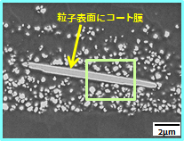 SEMによる断面観察(白色層1の拡大SEM像)