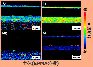 SEMによる断面観察(全体(EPMA分析))