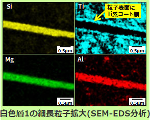 SEMによる断面観察(白色層1の細長粒子拡大(SEM-EDS分析))