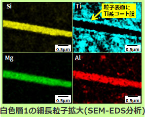 SEMによる断面観察(白色層1の細長粒子拡大(SEM-EDS分析))