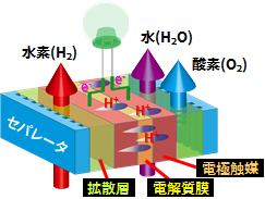 MEA構造図