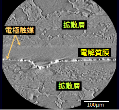 3次元X線顕微鏡像 (任意断面)