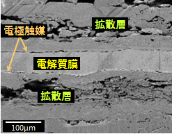 断面SEM像