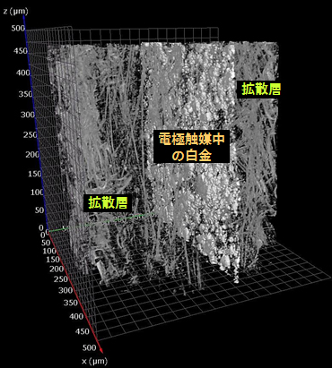 3次元X線顕微鏡像 (3次元像)