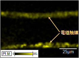EDS面分析 (白金)