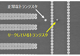 PVC法による観察 