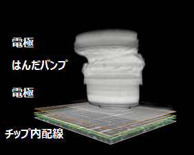 FIB-SEM 3次元像