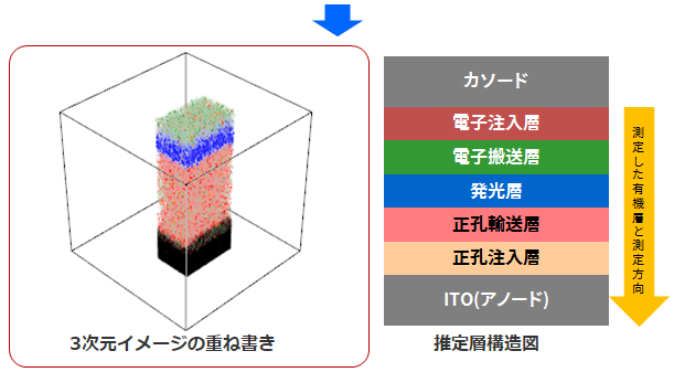 3次元イメージの重ね書き 推定層構造図