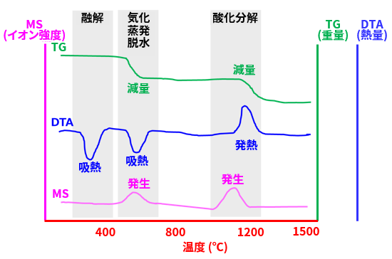 TG-DTA/MSにより検出できる主な現象