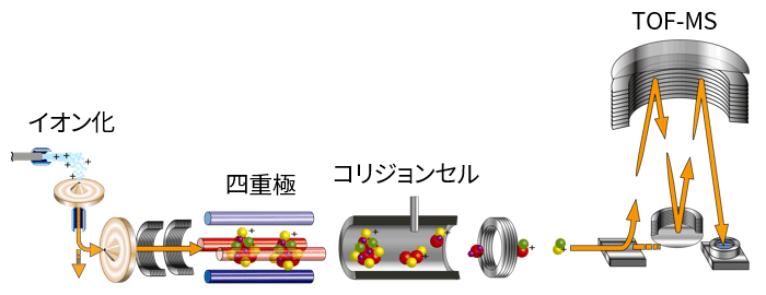 質量分析部の概略図