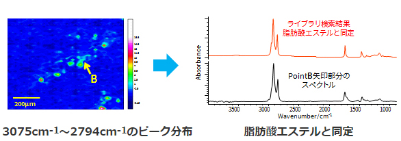 脂肪酸エステルと同定