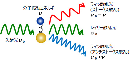 原理図