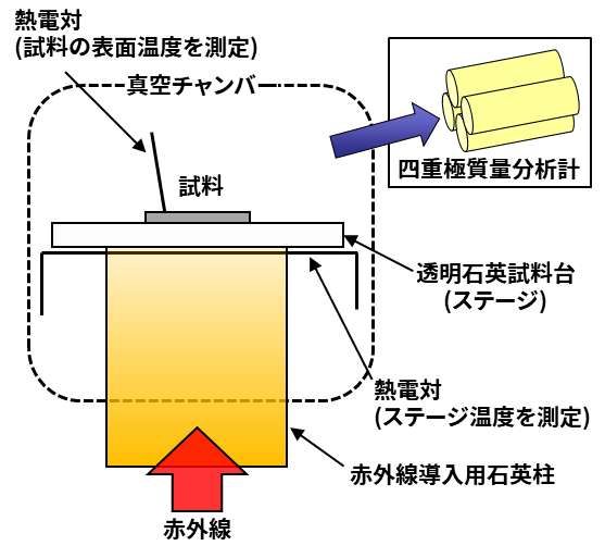 装置概略図