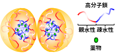 水溶液中の高分子ミセルのイメージ