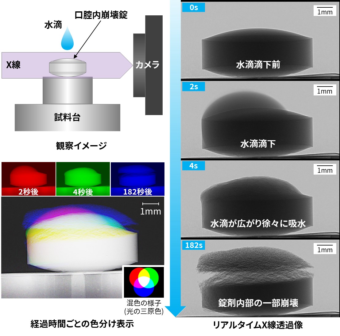 錠剤崩壊の様子をリアルタイムに
X線で観察